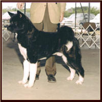 Attica1_small