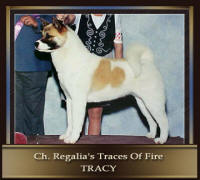CH–Regalia’s-Traces-Of-Fir_small (1)
