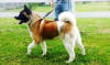 Maxxie_small