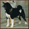 Attica25_small (2)