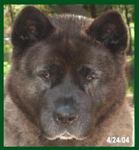 Attica’s dam Cherokee_small (2)