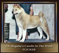 CH–Regalia’s-Candle-in-The (1)