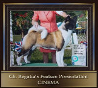 CH-_Regalia’s_Feature_Prese_small (1)
