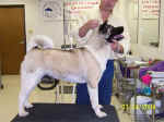 Molly22Mon2_small