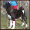attica_small1 (1)